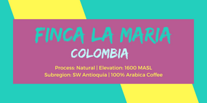 Neptune's Reserve - Colombia | Finca La Maria (Natural)